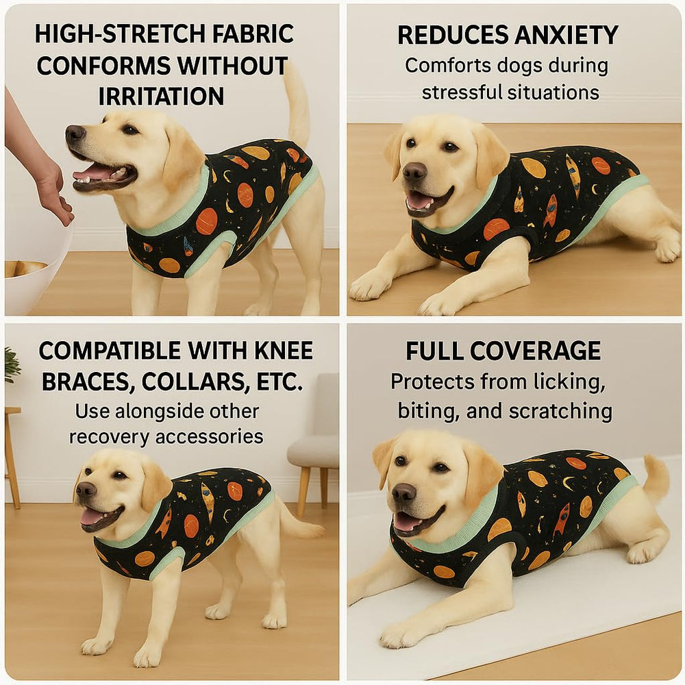 PetWarm suit stitching and seams emphasize durability during daily wear