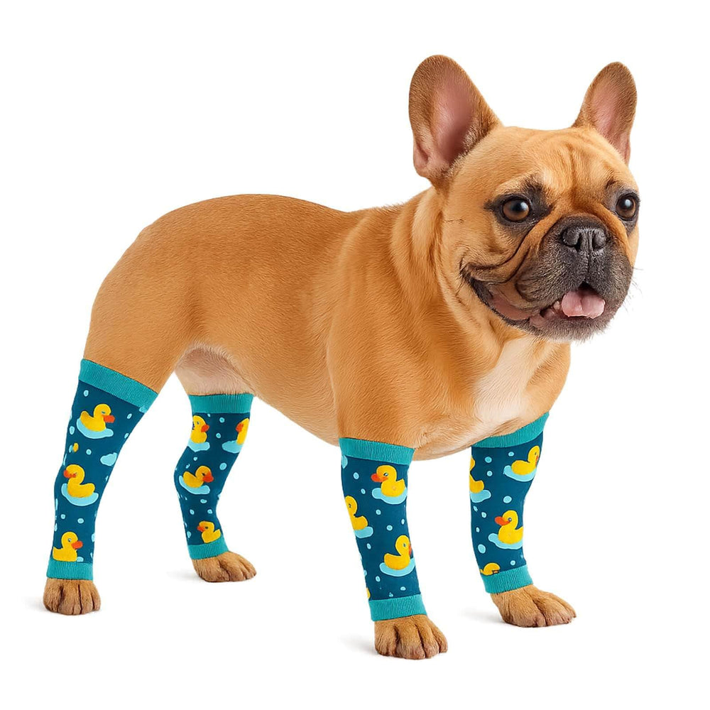 PetWarm duck-print leg sleeve protects healing legs and reduces licking during recovery.