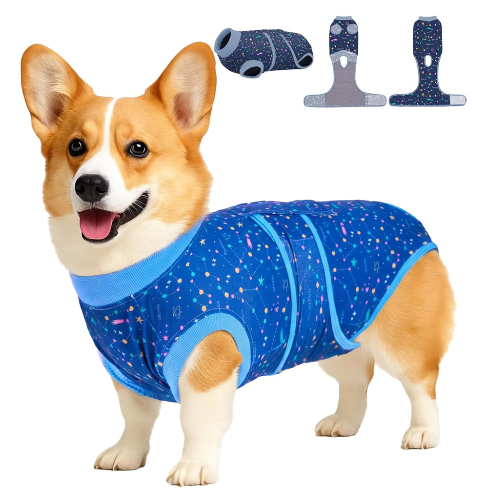 PetWarm galaxy blue recovery suit on a dog for comfortable post-surgery wear.