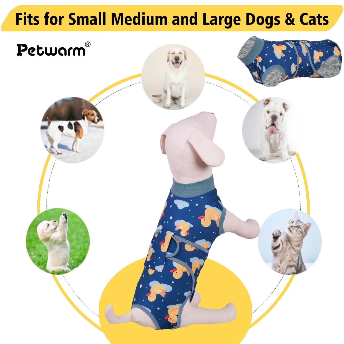 PetWarm Pure Cotton Abdominal protection reduces mess from accidents