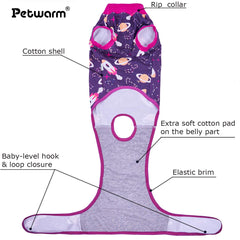 PetWarm Recovery Suit on-dog demonstrates daily wear for comfort and style