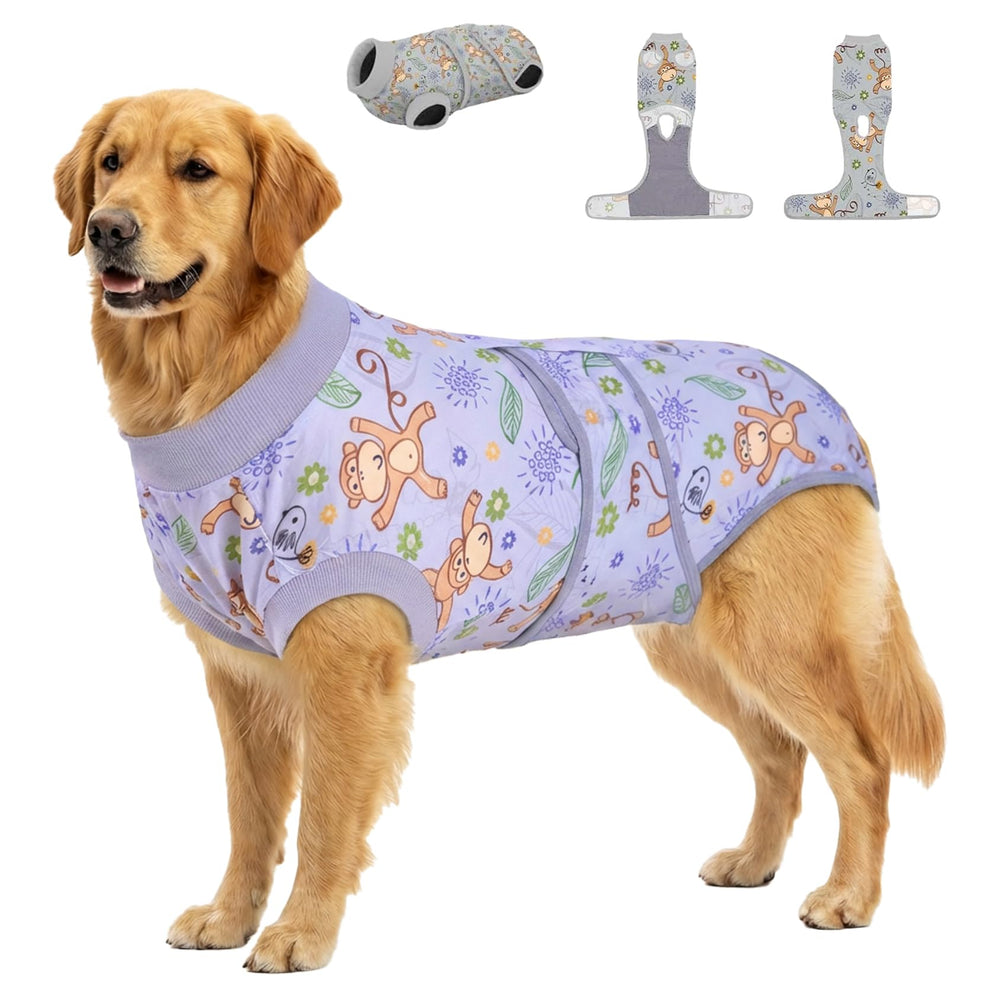 PetWarm Recovery Suit on a relaxed dog, anti-licking protection for post-surgery comfort.