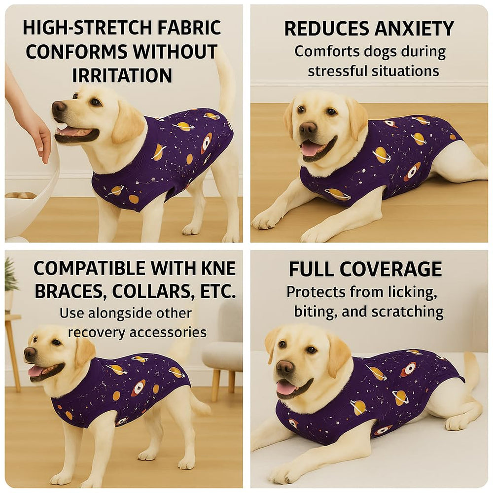 PetWarm Recovery Suit for Dogs, weaning-use image highlighting secure environment for puppies.
