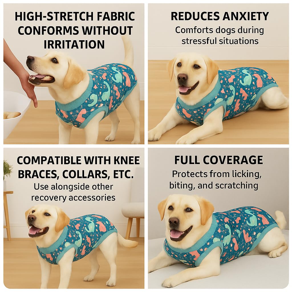 PetWarm spay/neuter recovery suit supports wound coverage without a cone.