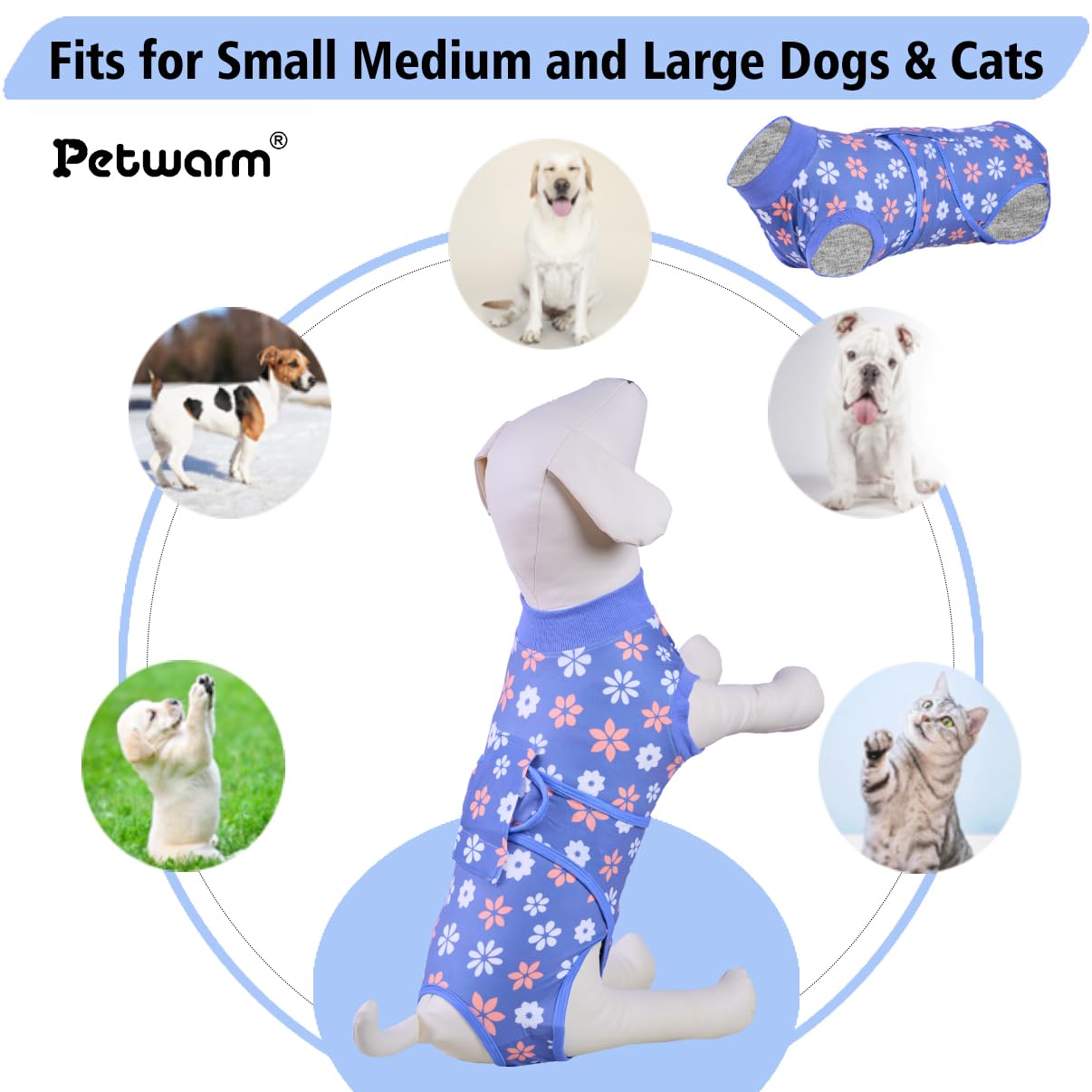 PetWarm blue flower pattern dog bodysuit provides abdominal coverage