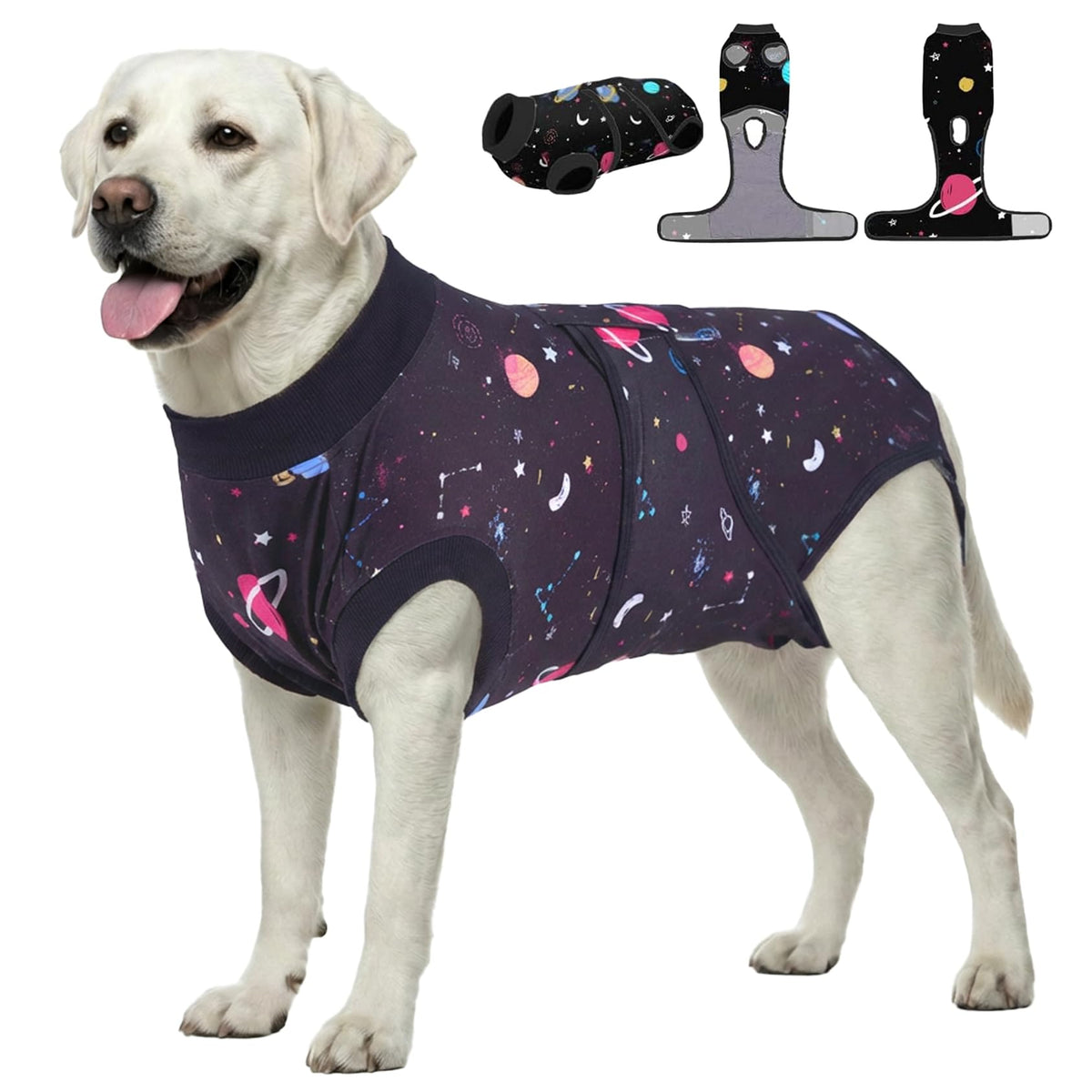 PetWarm surgery suit galaxy-pattern on a calm dog provides gentle coverage during recovery.