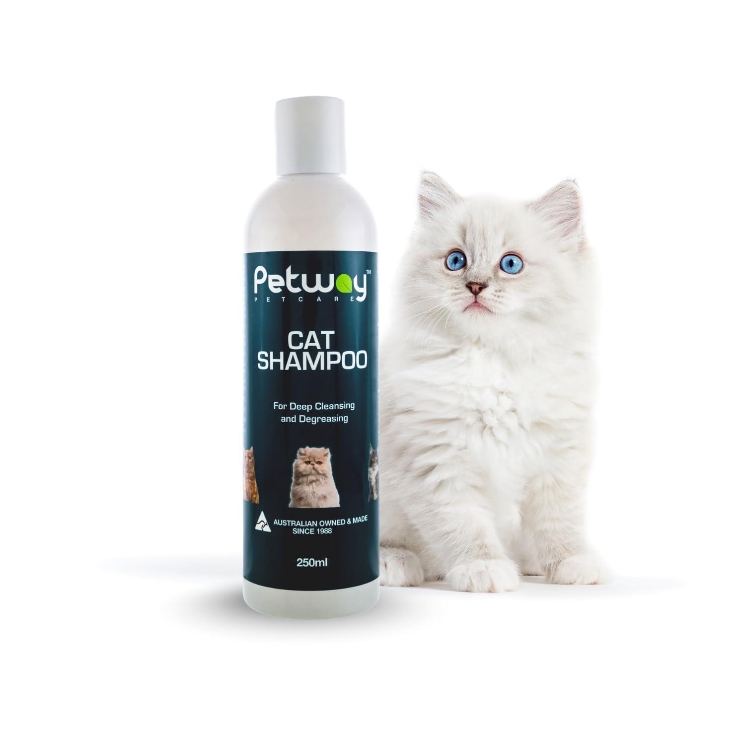 Petway Petcare Cat Shampoo bottle on sink showing anti-dandruff formula for bath time