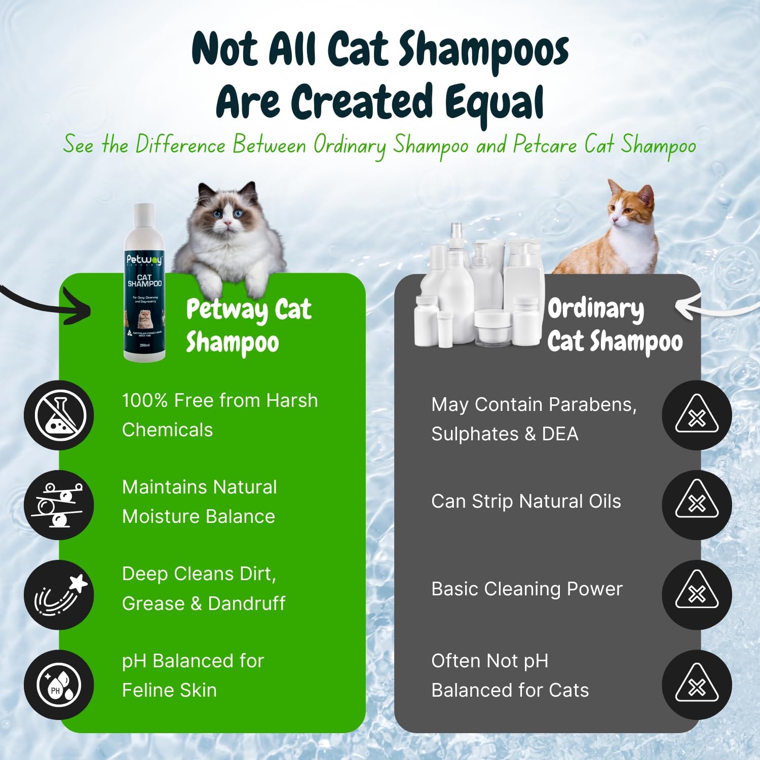 Petway Petcare Cat Shampoo pH-balanced label signals gentle cleansing