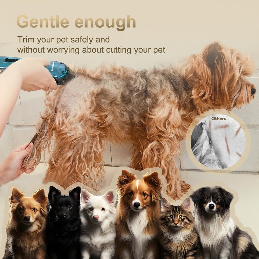 PETWORTHY Waterproof and easy-to-clean design supports quick maintenance after grooming.