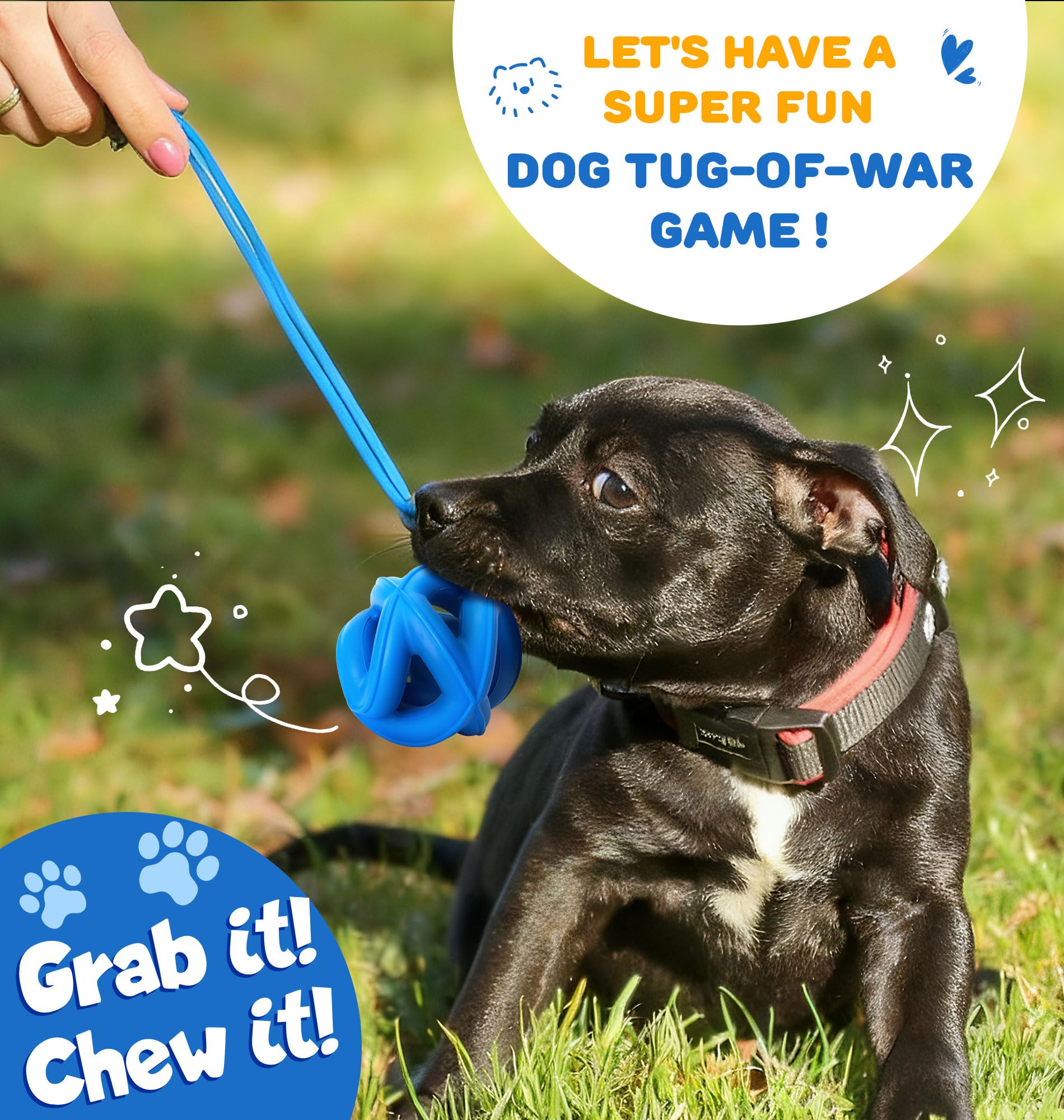 PetZee bright color dog toy blue-yellow-purple improves visibility during outdoor play.