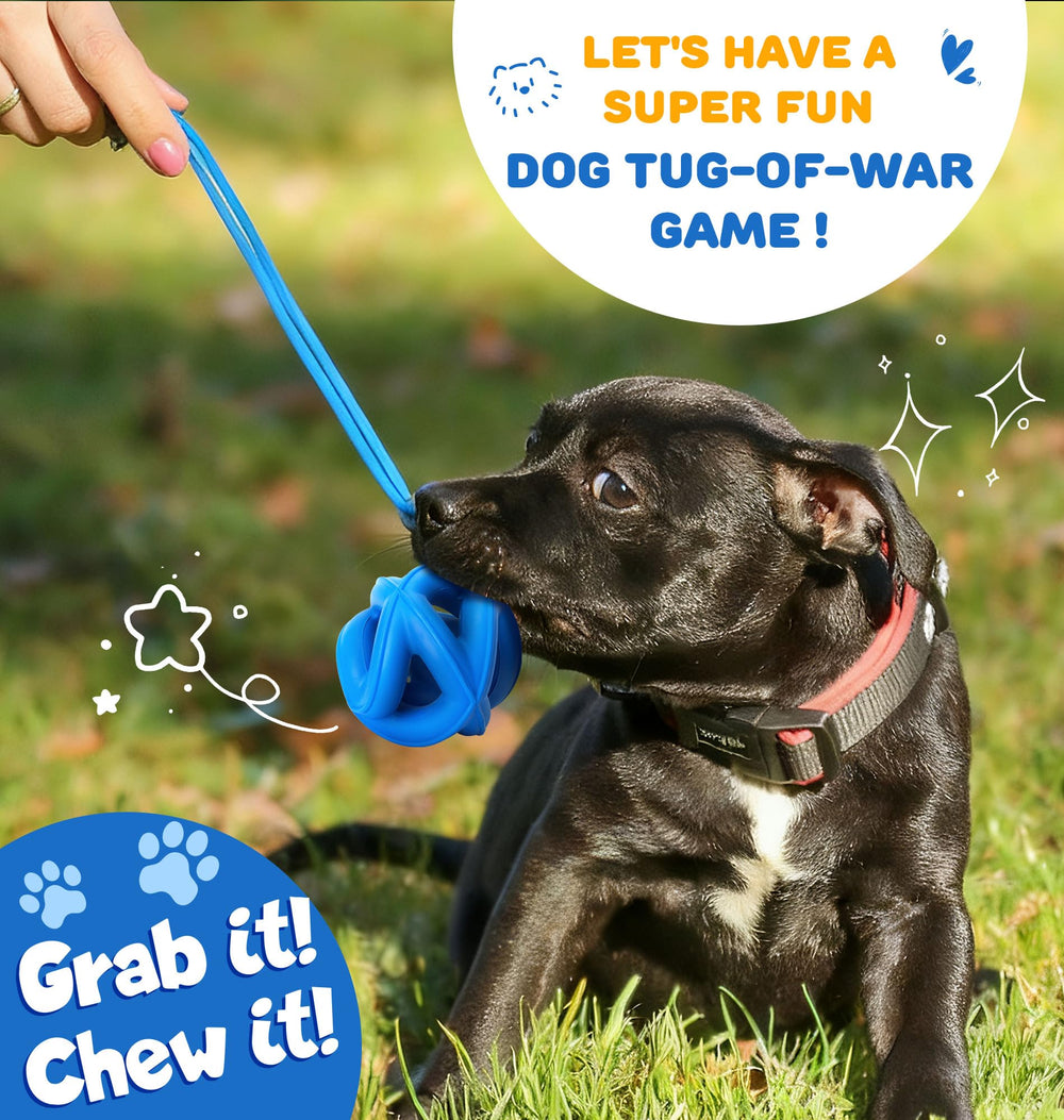 PetZee bright color dog toy blue-yellow-purple improves visibility during outdoor play.