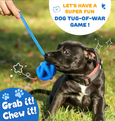 PetZee bright color dog toy blue-yellow-purple improves visibility during outdoor play.