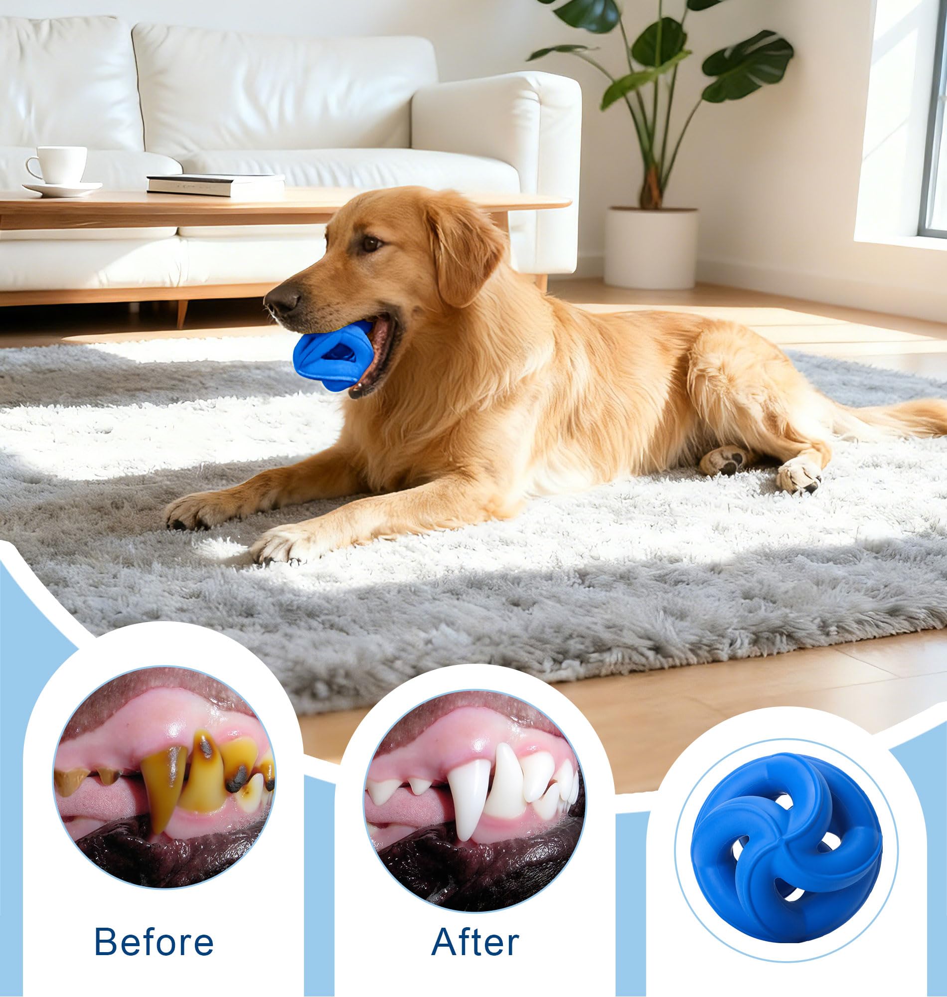 PetZee dishwasher-safe dog toy cleans easily for regular reuse.