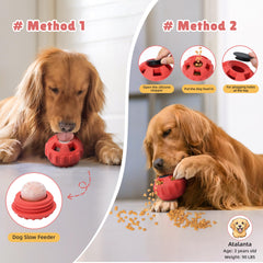 PetZee dog enrichment toy with 4-grid mold for DIY lick-treat recipes.