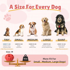 PetZee dog enrichment toy packaging includes a recipe guide for treats.