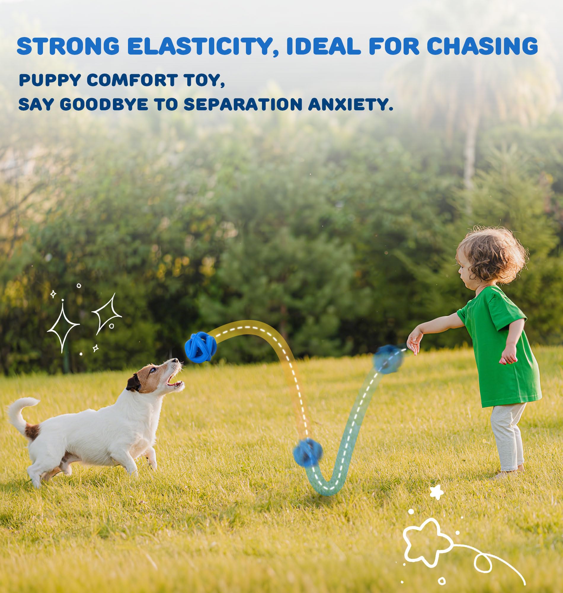 PetZee interactive fetch ball boosts bonding and training through active play.
