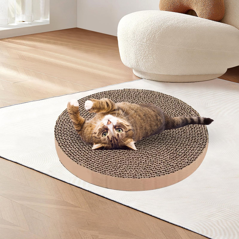 PetZen Garden eco-friendly recyclable cardboard aligns with responsible cat care.