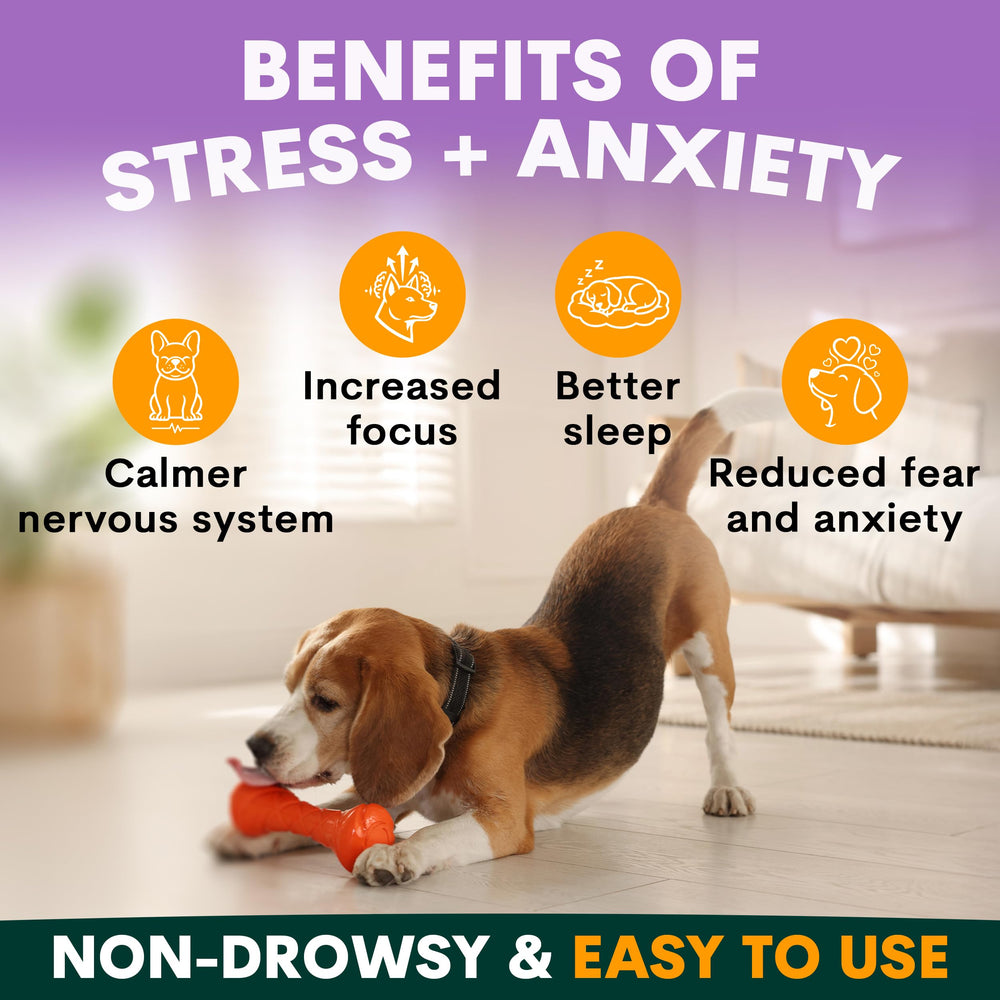 Petz Park calming dog powder dispensing into bowl for smoother daily routines.