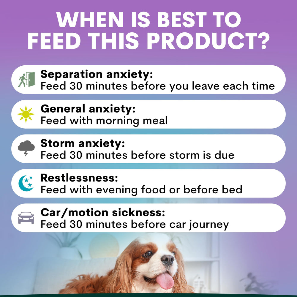 Petz Park dog sleep-relax scene with a calm resting pup after supplement use.