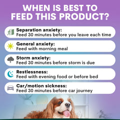 Petz Park dog sleep-relax scene with a calm resting pup after supplement use.