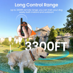 Pewkim adjustable-band collar fits dogs of various sizes for everyday comfort.