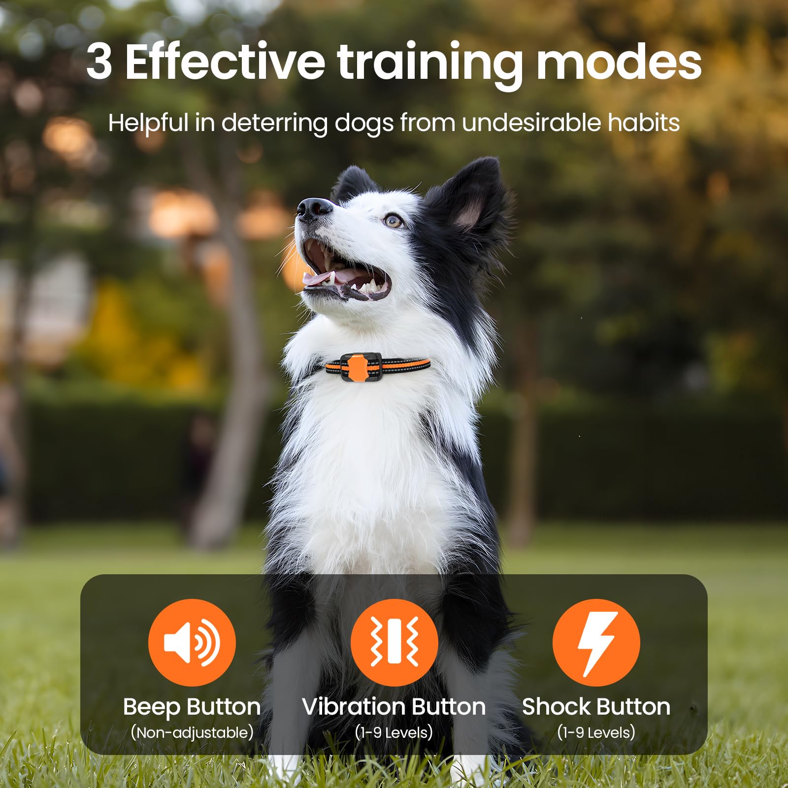 Pewkim training buttons highlight beep, vibration, and static options for versatile correction.