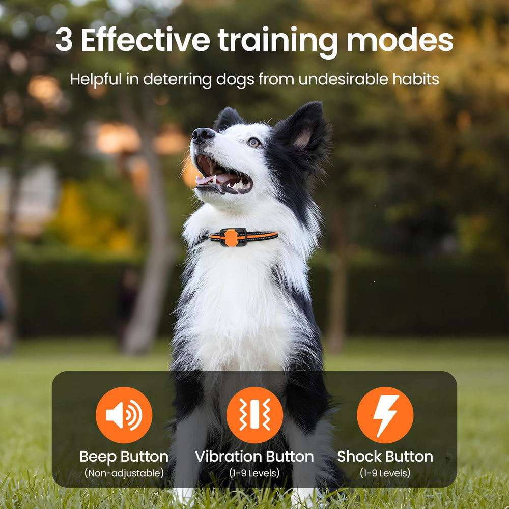Pewkim training buttons highlight beep, vibration, and static options for versatile correction.