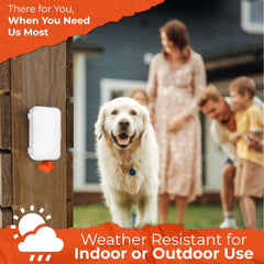 Pexter dog poop bag dispenser mounted indoors ready for indoor waste pickup