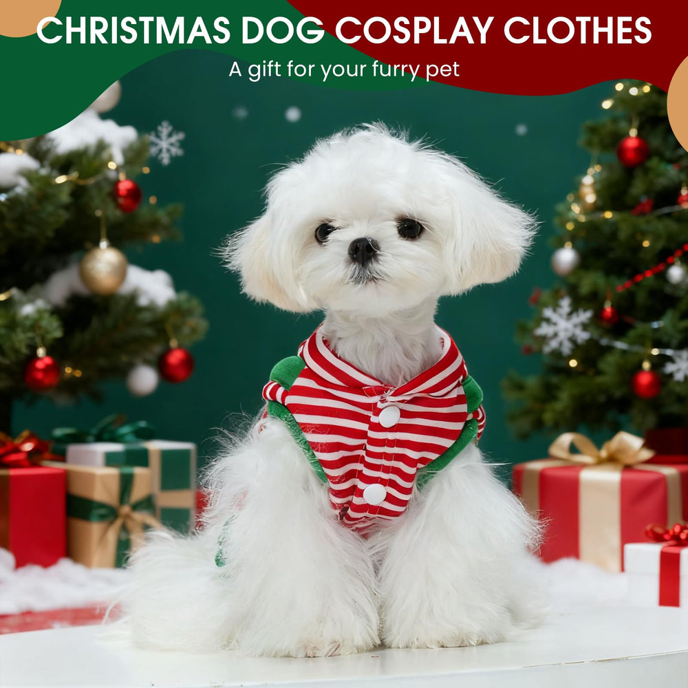 Pezluxe winter party-ready costume ideal for photoshoots and events