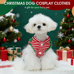 Pezluxe winter party-ready costume ideal for photoshoots and events