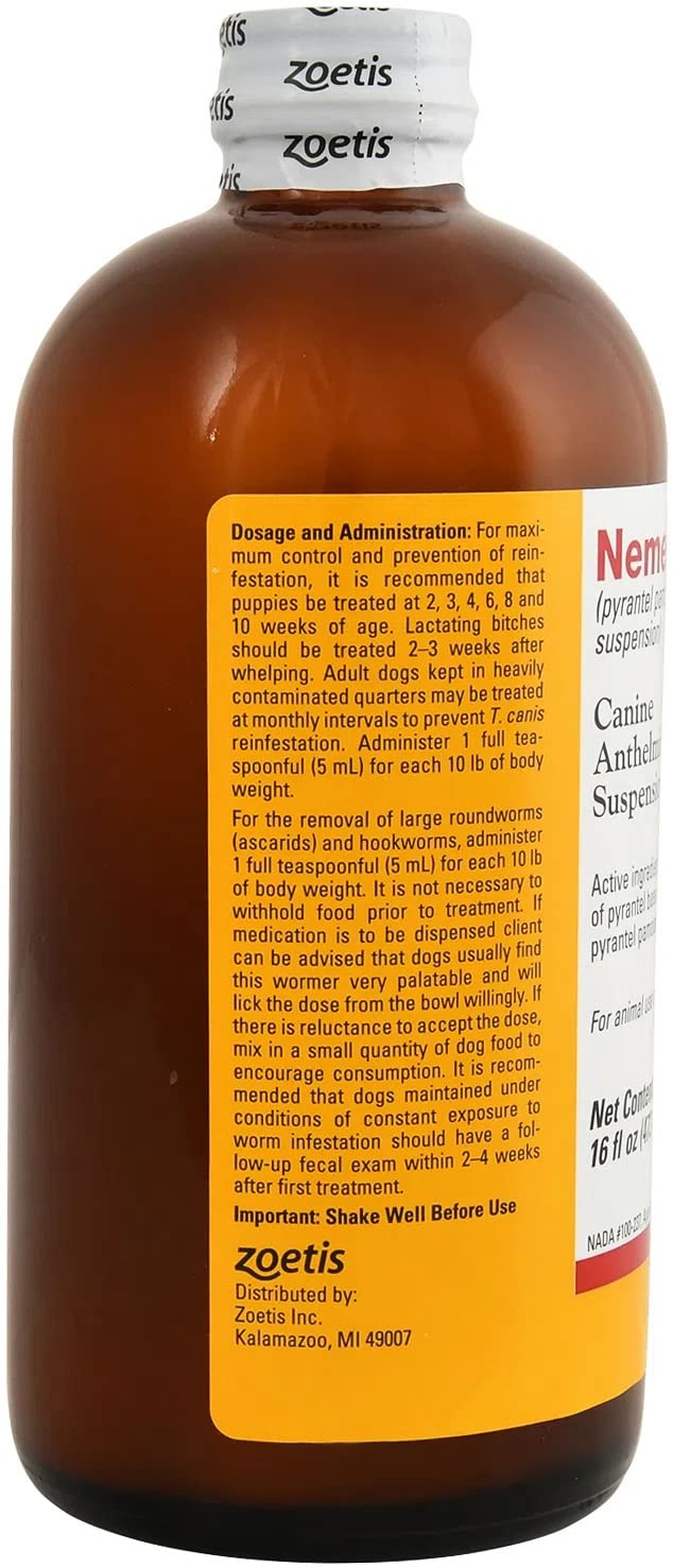 Pfizer Nemex puppy-dosing scene shows safe dosing for puppies.