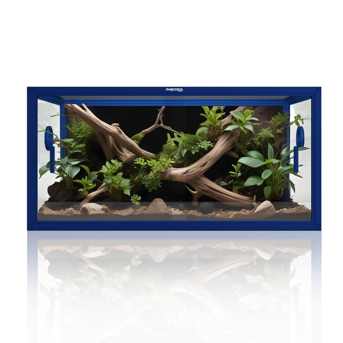 Phailozoo 50 gallon tank front view for easy feeding and cleaning