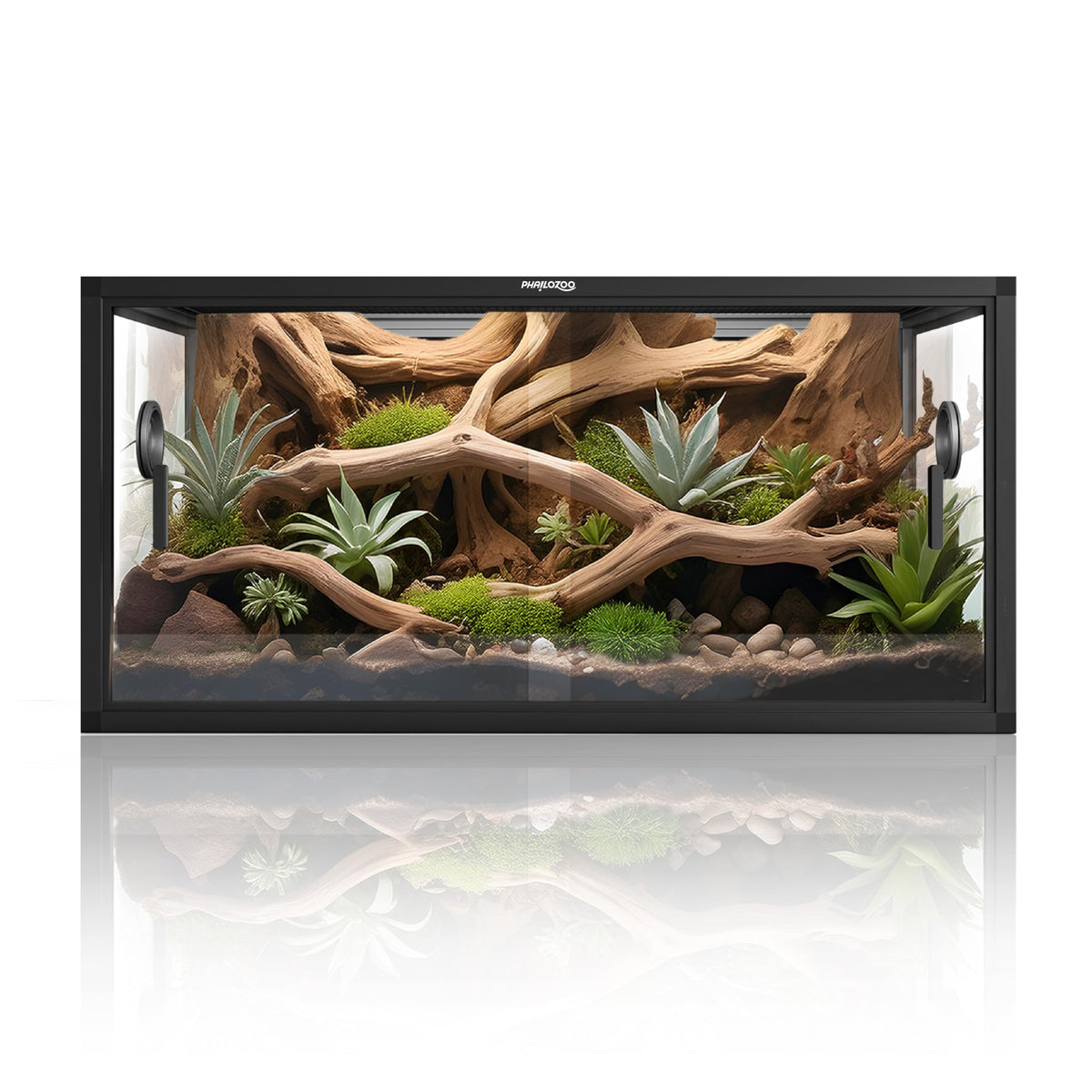 Phailozoo 50-gallon tank front view for easy feeding and cleaning
