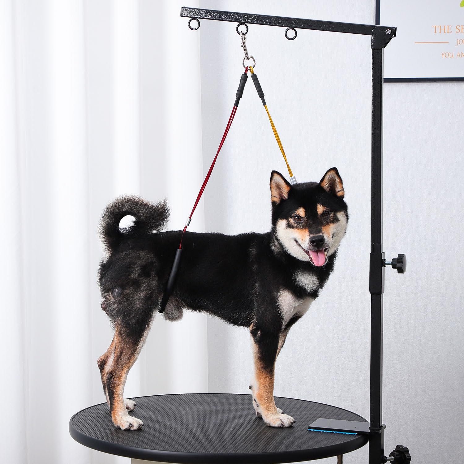 Phenfor dog grooming setup offering adjustable height for easier drying and styling.