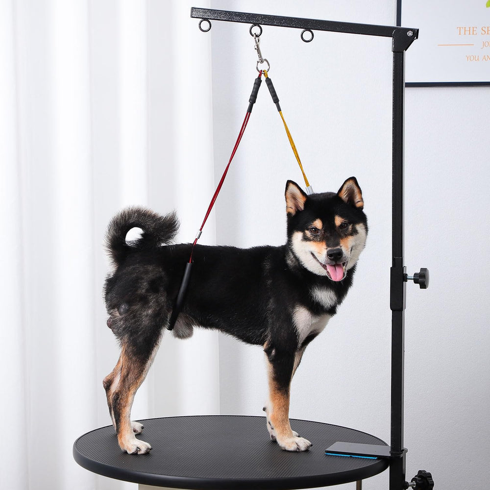 Phenfor dog grooming setup offering adjustable height for easier drying and styling.