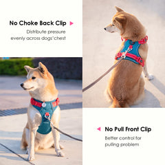 PHOEPET arnés ajustable con cuatro correas para ajuste perfecto