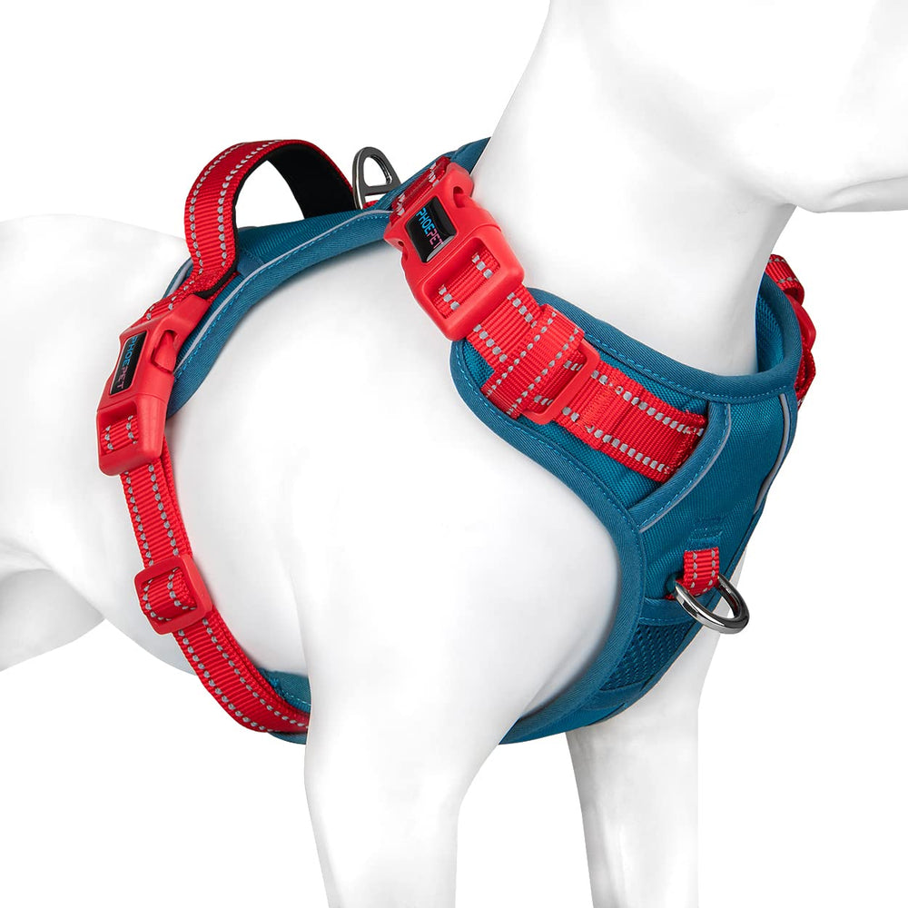 PHOEPET arnés No Pull con base azul-verde reflectante para mayor visibilidad