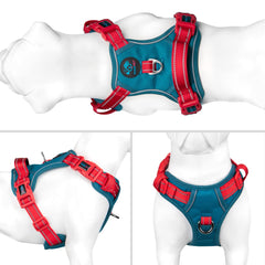 PHOEPET arnés No Pull con mango de entrenamiento para control suave
