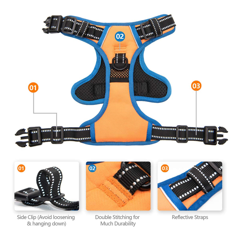 PHOEPET back handle close up demonstrates controlled lifting and support.