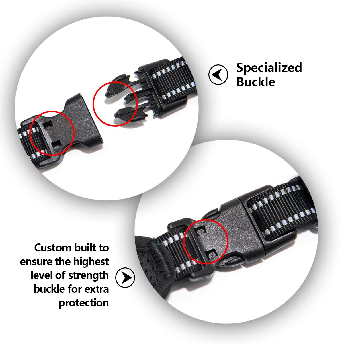 PHOEPET reflective trim at night improves visibility during walks.