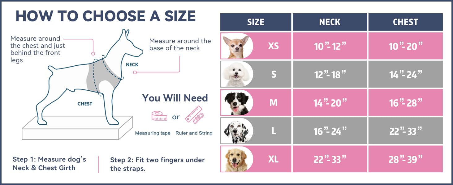 PHOEPET easy-on, easy-off buckle system speeds fitting the harness.