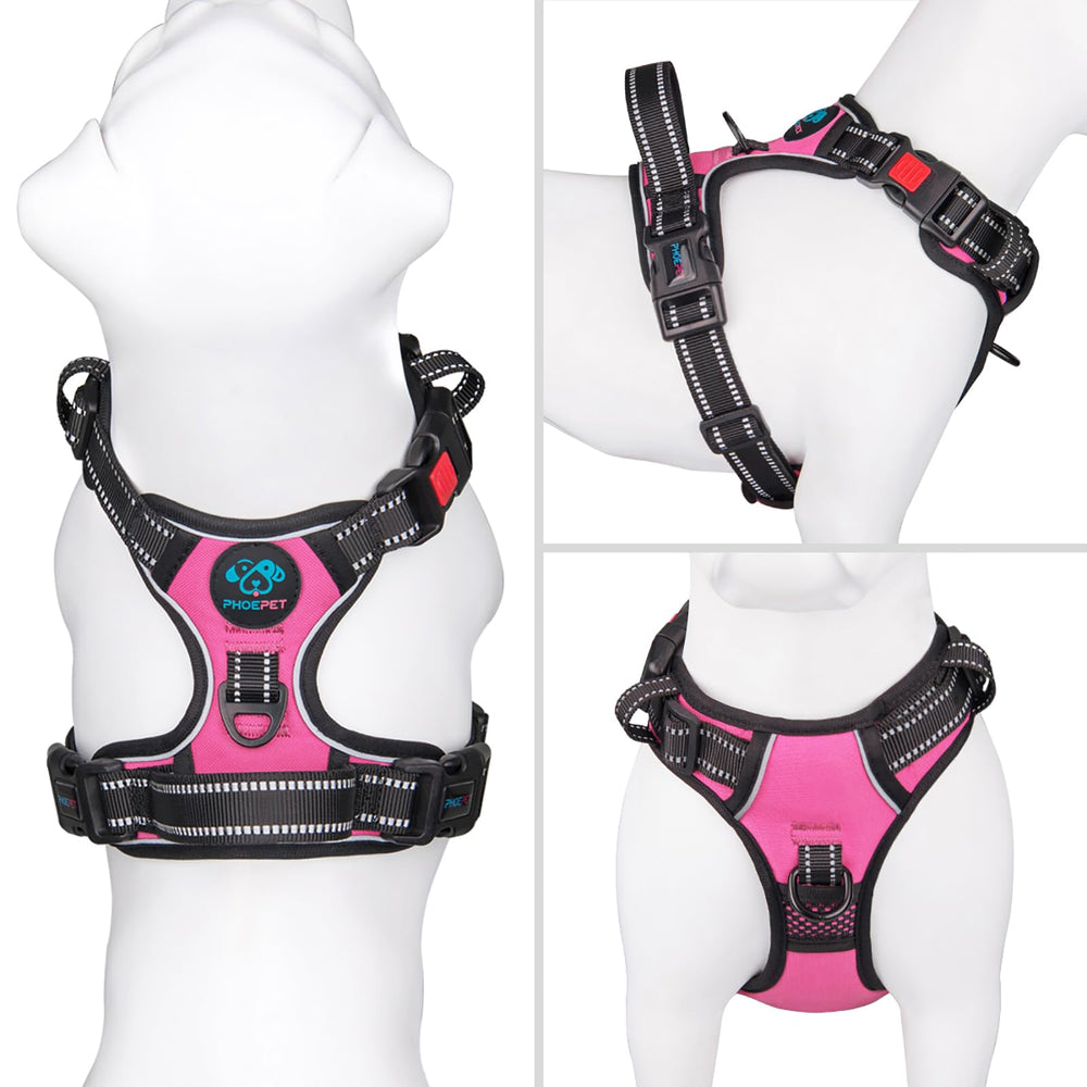 PHOEPET front-leash-attachment demonstrates front leash loop to reduce pulling during walks.