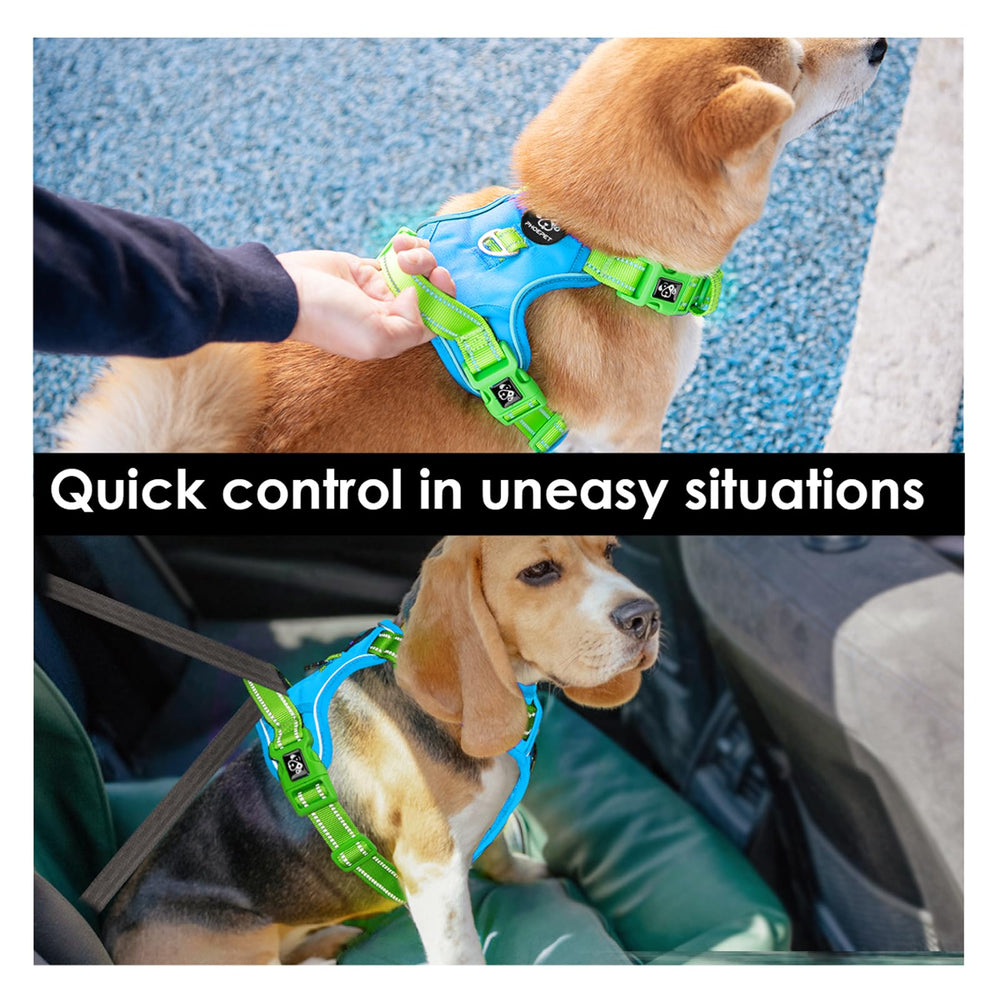 PHOEPET No Pull Harness four-strap design ensures snug fit as your dog grows.