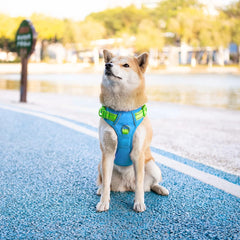 PHOEPET No Pull Harness reflective safety strips boost nighttime visibility for safer strolls.