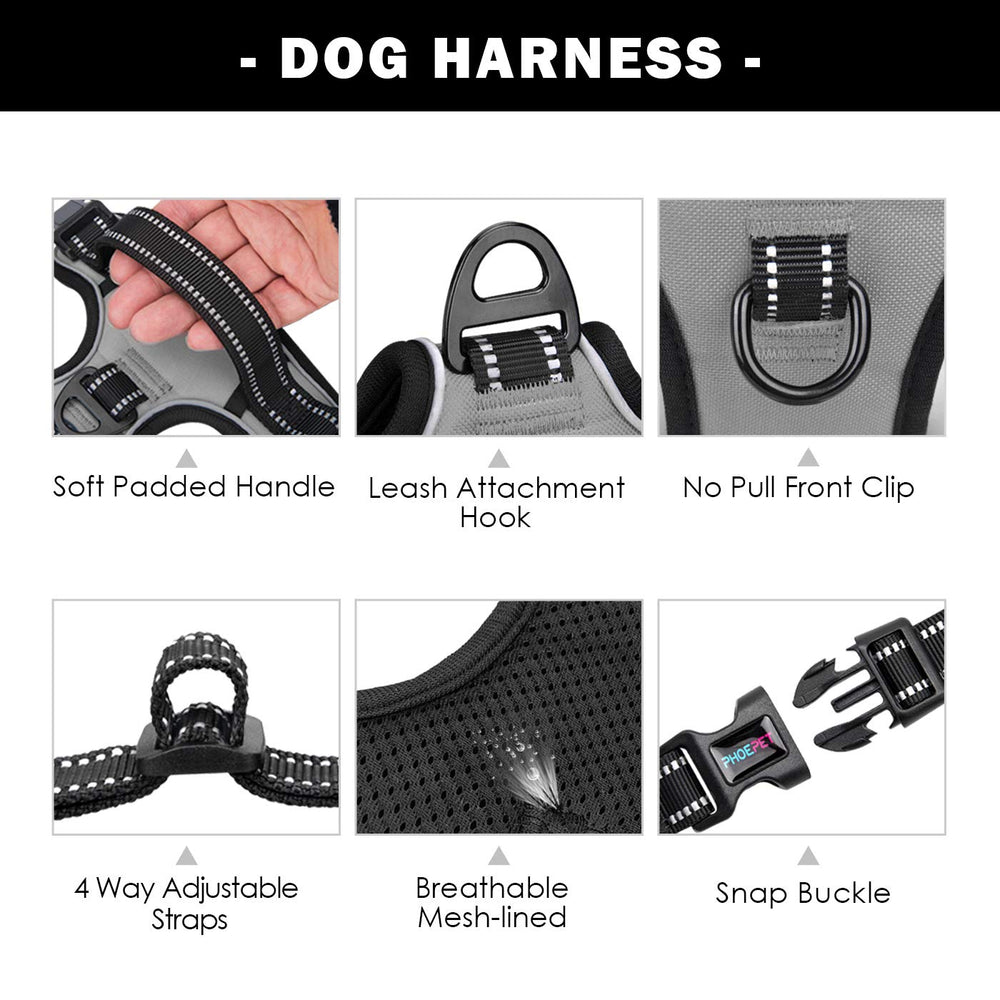 PHOEPET harness with reflective strips improves night visibility.
