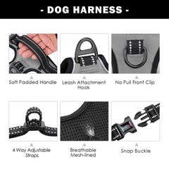 PHOEPET harness with reflective strips improves night visibility.