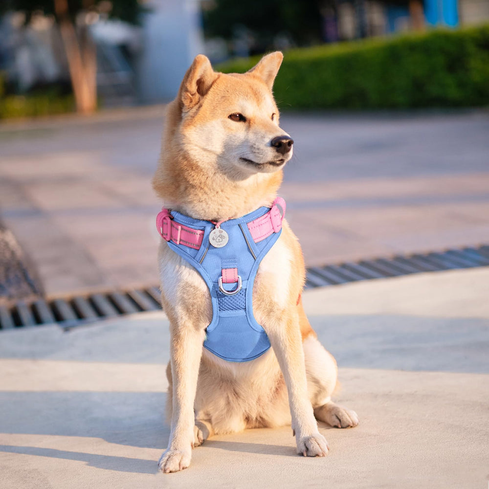 PHOEPET No Pull Harness three fast-release buckles close-up for solo donning.