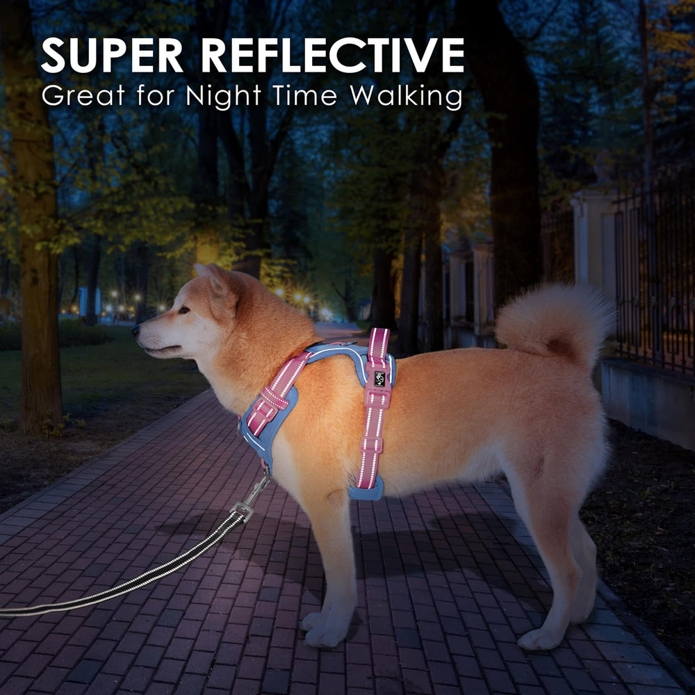 PHOEPET No Pull Harness car-setup with easy secure clip.