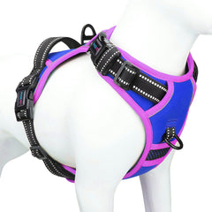 PHOEPET no-pull harness front attachment for safer, controlled walks