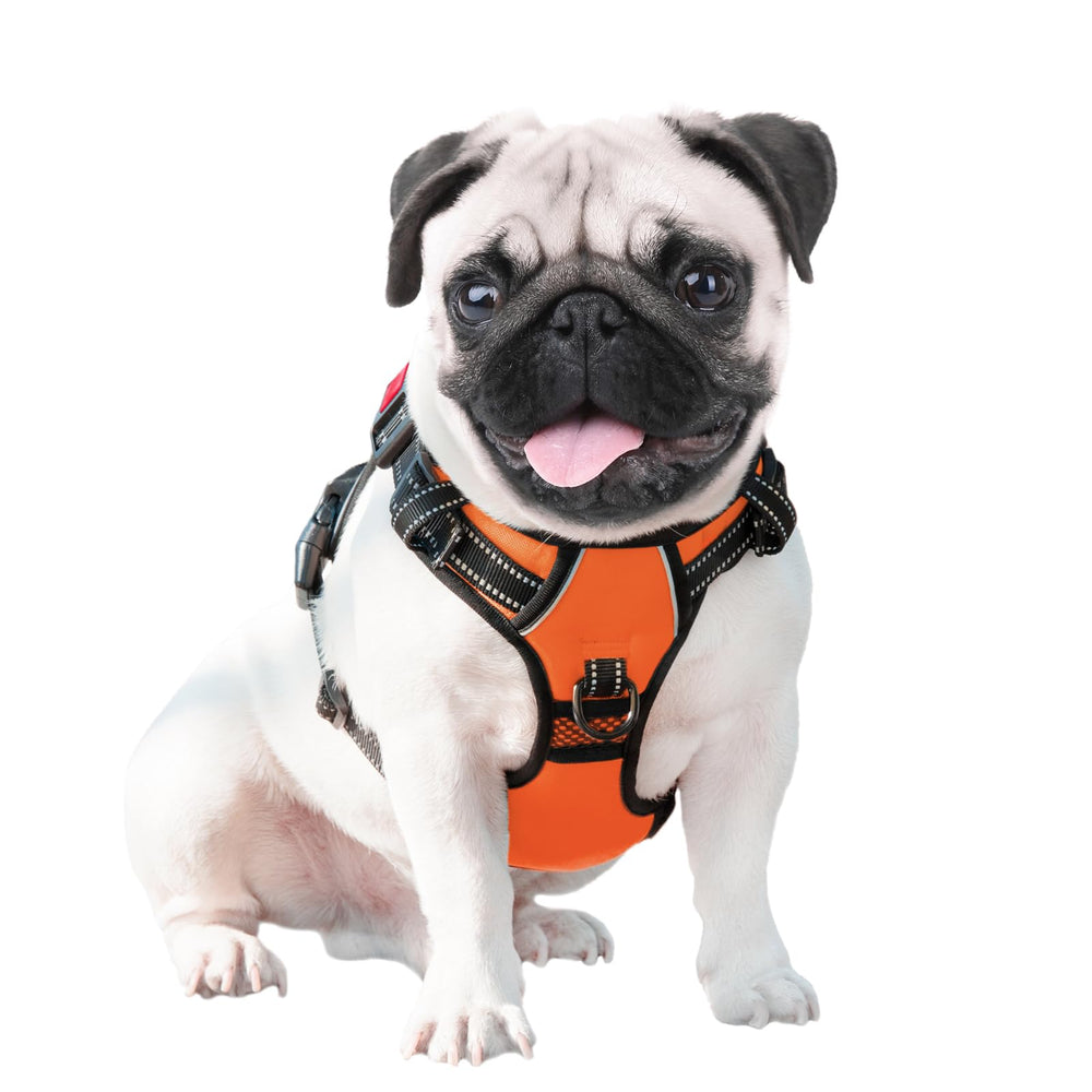 PHOEPET No Pull harness dual leash rings for front or back attachment